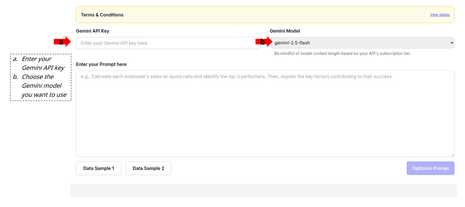 Provide API key and choose model