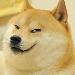 CorpDev Doge